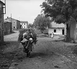 Podbeže in 1955