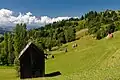 Traditional northern Romanian wooden church