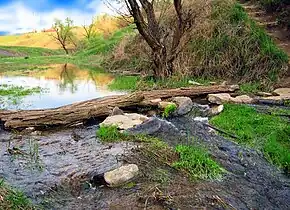 Zheleznaya Balka (Iron Valley) near Horlivka