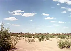 View of the desert