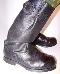 Kirza boots.