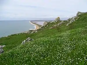 Opuksky Nature Reserve