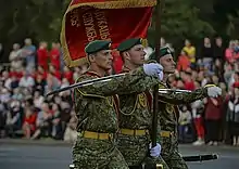 A color guard from the Border Guard Service Institute in the 2019 parade.