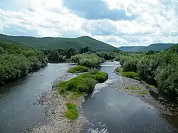 The Arsenyevka River near the selo of Anuchino in Anuchinsky District