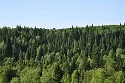 Salairsky Nature Park, Guryevsky District