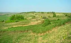 Steppe landscape in Pochinkovsky District