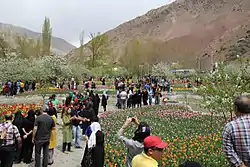 Gach Sar Tulip Garden