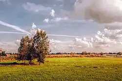 Landscape in the vicinity of the town