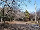 Big clock and wooded area