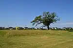 Hitachi Kokubunniji ruins