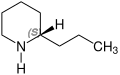 (+)-Coniine