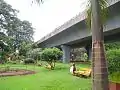 A flyover connecting CST to Thane Pass through the Maheshwari Udyan (2012)