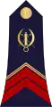 Brigadier(Burkina Faso Ground Forces)