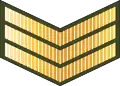 Sarjan(Royal Brunei Land Forces)