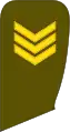 Vyresnysis seržantas(Lithuanian Land Force)