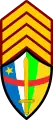 Sergent-major(Central African Ground Forces)