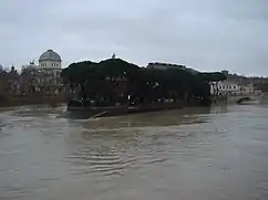 Tiber Island in flood, December 2008