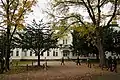 Japanese elms, Hokkaido University Botanical Gardens