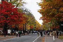 Hokkaido University