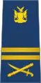 A Namibian Air Force's air vice-marshal's rank insignia