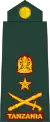 Brigedia jenerali(Tanzanian Army)