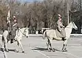 Ceremonial cavalry from the brigade.