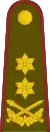 Generolas majoras(Lithuanian Land Forces)