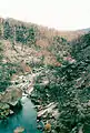 Devastated bushland on the Bundara River near Anglers Rest resulting from the 2003 Eastern Victorian alpine bushfires