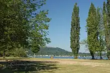 Picnic tables on a grassy field near a large lake