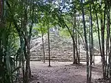 Cobá Tropical savanna climate (Aw)