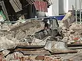 A car crushed by the rubble of a collapsed building in Temuco.