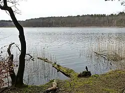 2014-03-21 Tietzowsee Campingplatz 320