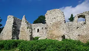 Ruins of the castle Bydlin