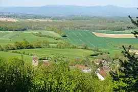 The country of Lure and the Vosges in the east of the department