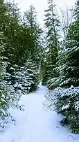 A trail at a resort near Rowleys Bay