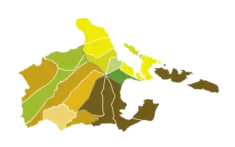 Results of 2019 Albay Congressional Elections by Municipality