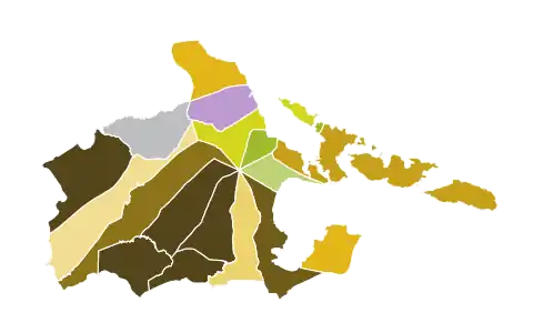 Results of 2019 Mayoral Elections in Albay by Municipality and City