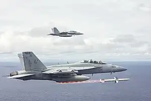 Two EA-18G Growlers of VAQ-209 conduct a live fire exercise over the Pacific Ocean, 2022