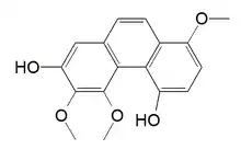 Chemical structure of 3,4,8-trimethoxyphenanthrene-2,5-diol.png