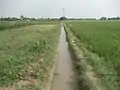 Little canal in fields