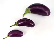 Eggplants or aubergines