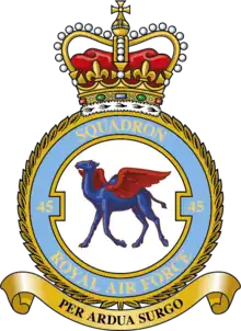 Squadron badge