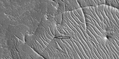 Close view of ridge networks, as seen by HiRISE under HiWish program Arrow points to small, straight ridge.  Location is Arcadia quadrangle.