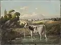 Marin County, Mount Tamalpais in Distance, 1906