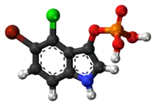 Ball-and-stick model of the BCIP molecule