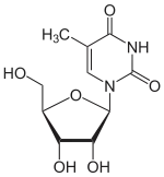 Chemical structure of 5-methyluridine