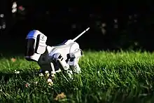 A robotic dog sitting.