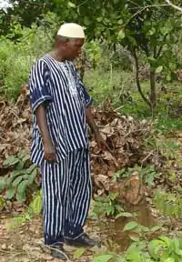 A cashew plantation owner in the Boké prefecture.