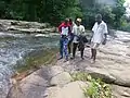 View of a river in the wildlife sanctuary