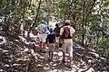 Visitors walking through the forest